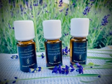 A picture containing text, indoor, plastic

Description automatically generated