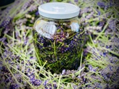 A picture containing plant

Description automatically generated